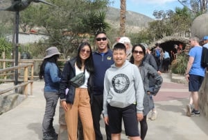 كيتو: جولة خط الاستواء والكنوز المخفية مع تذوق البيرة