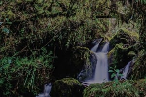 Quito: Dagsutflykt till Papallacta Hot springs och området