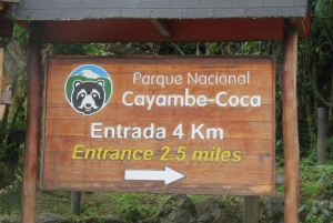 Quito: Dagsutflykt till Papallacta Hot springs och området