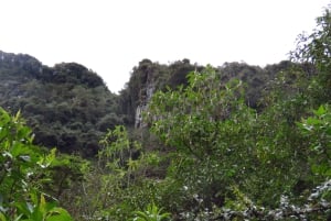 Quito: Dagsutflykt till Papallacta Hot springs och området