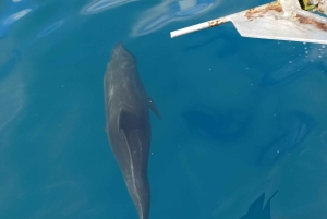 Quito: Galapagos Islands 4-Day Tour with Flights