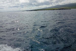 Quito: Galapagos Islands 4-Day Tour with Flights