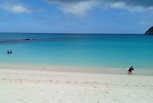 Quito: Galapagos Islands 4-Day Tour with Flights