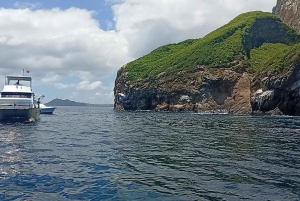 Quito: Galapagos Islands 4-Day Tour with Flights