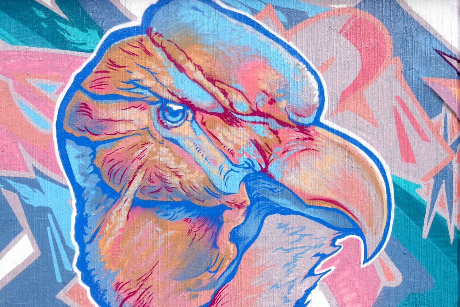 Quito: Guidad Street Art Tour med lokala cocktails