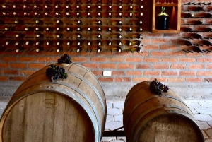 Quito: Half-day tour to high altitude vineyards and wine tasting