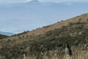 Quito: Hike to the Integral of Pichinchas