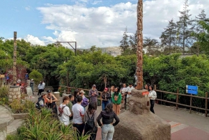 كيتو: المركز التاريخي، تجربة الكاكاو، متحف إنتيان