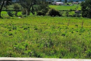 Quito: Latacunga, Pujilí i Isinche – wycieczka 1-dniowa z lunchem