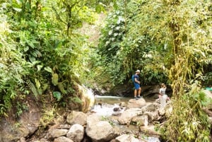 Quito-Mindo: Passeio 7 Cachoeiras, Jardim das Borboletas, Passeio Quad