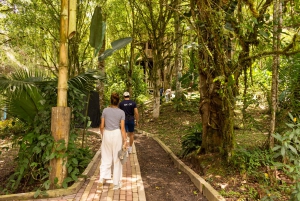 Quito-Mindo : Circuit des 7 cascades, Jardin des papillons, Circuit en quad