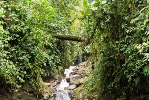 Quito-Mindo: 7 Waterfalls Tour, Butterfly Garden, Quad Tour