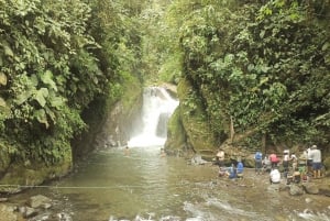 Quito: Mindo - Eventyr og natur i tåkeskogen