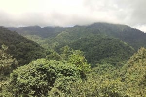 Quito: Mindo - Eventyr og natur i tåkeskogen