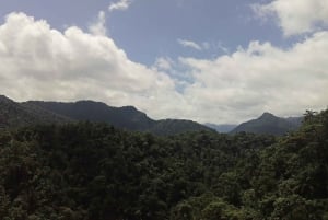 Quito: Mindo - Eventyr og natur i tåkeskogen