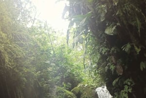 Quito: Mindo - Eventyr og natur i tåkeskogen