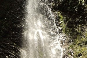 Quito: Mindo - Eventyr og natur i tåkeskogen