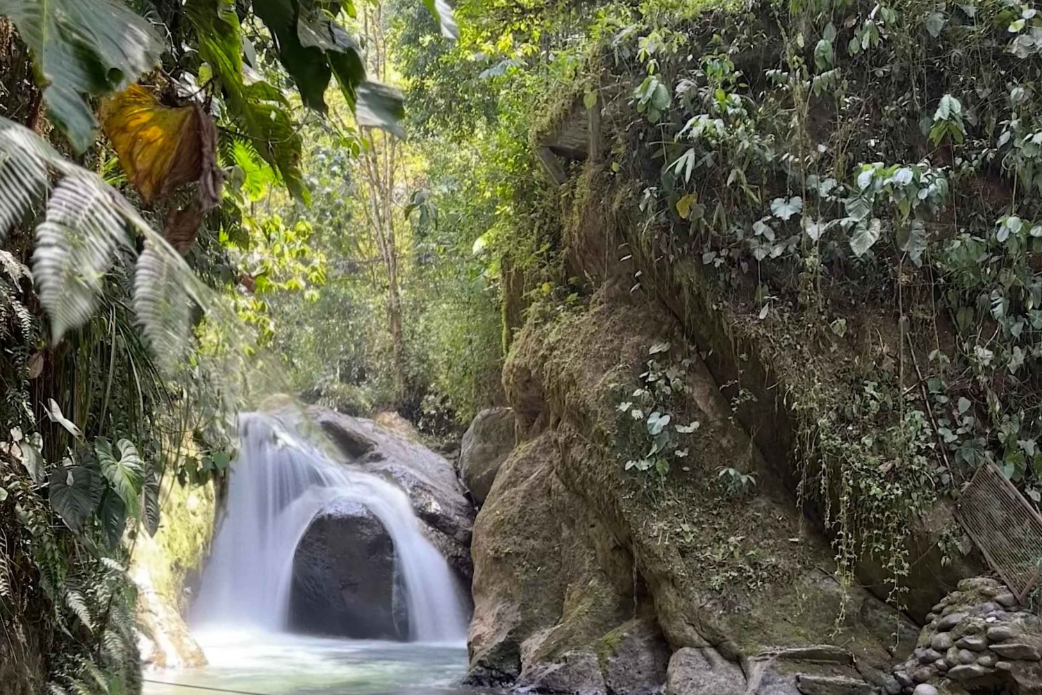 Quito: Mindo Cloud Forest and Bird Watching Tour