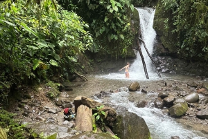 Quito: Mindo Cloud Forest i wycieczka z obserwacją ptaków