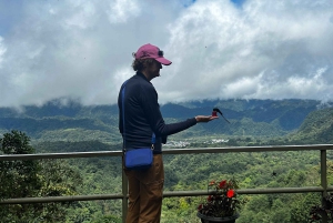 Quito: Mindo Cloud Forest and Bird Watching Tour
