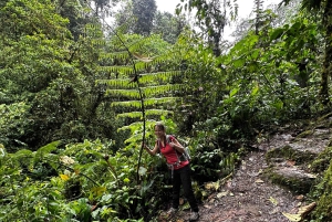 Quito: Mindo Cloud Forest and Bird Watching Tour