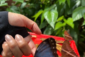 Quito: Mindo Cloud Forest and Bird Watching Tour