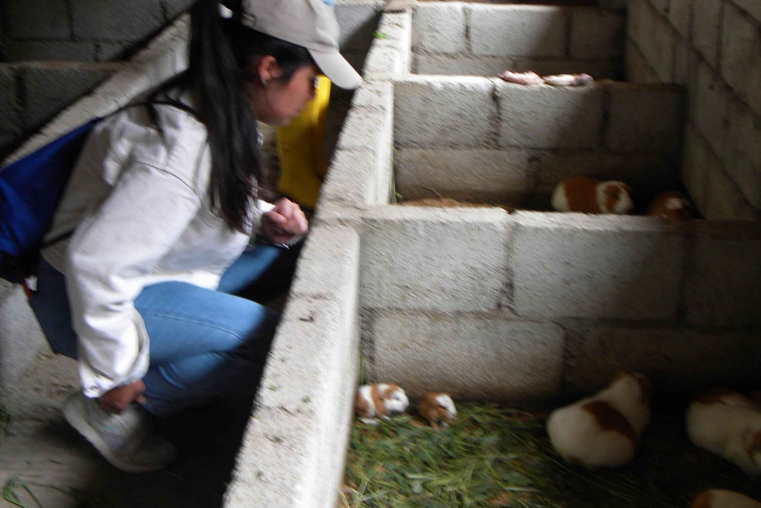 Quito: Nayón Village Tour with Farm Visit