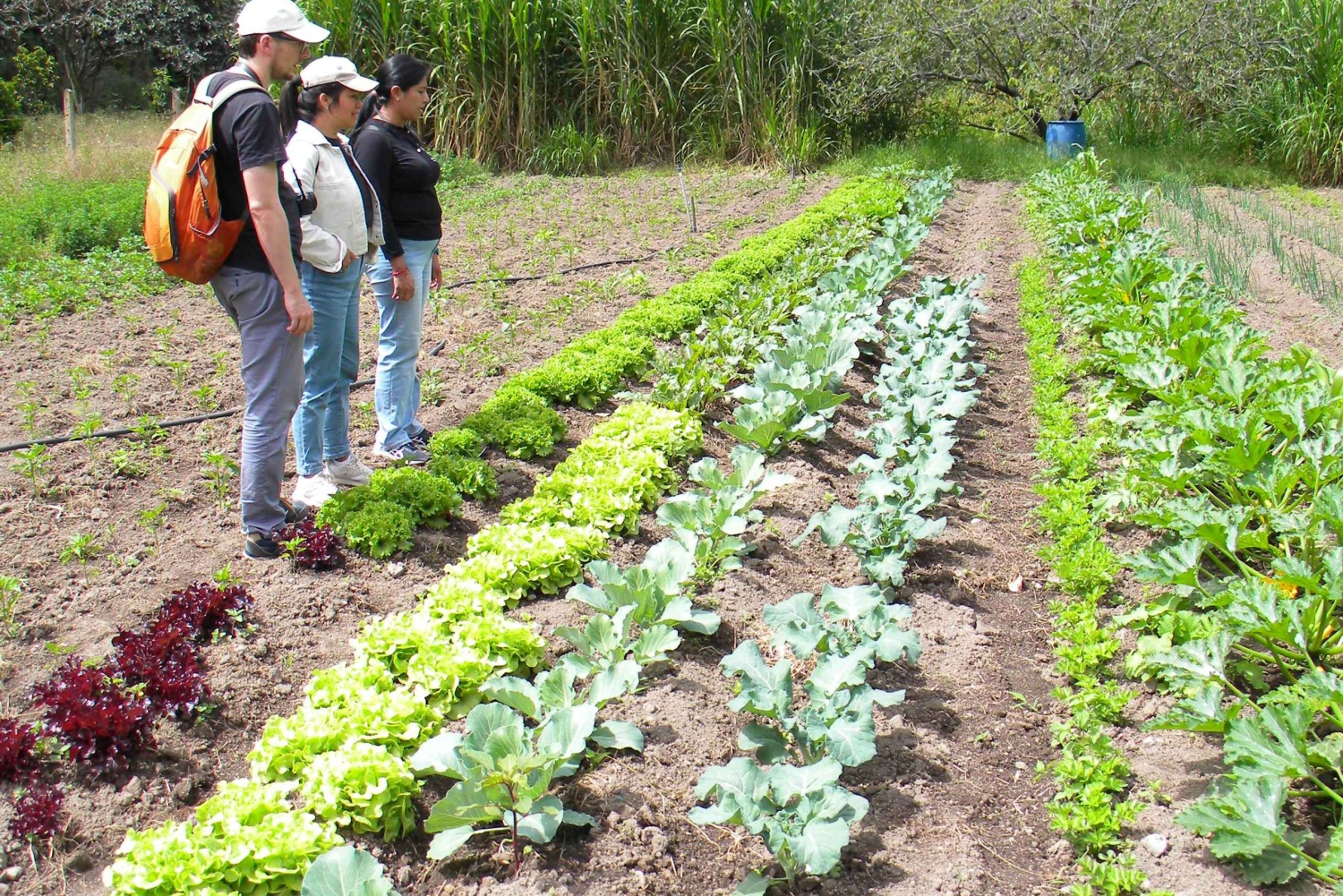 Quito: Nayón Village Tour with Farm Visit