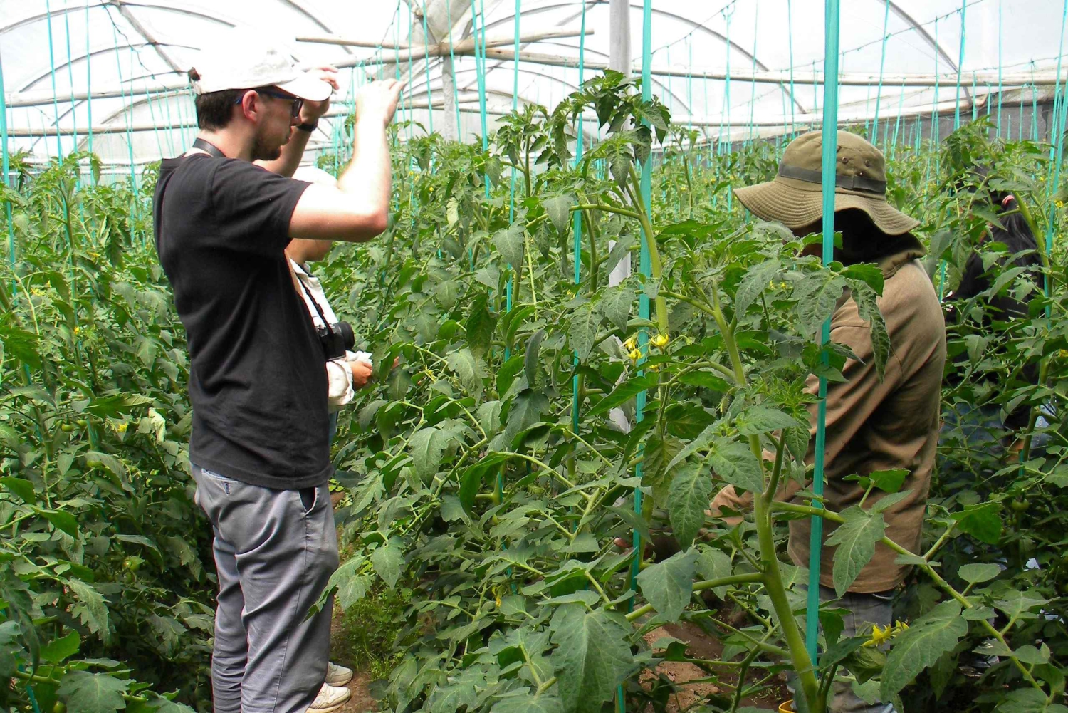 Quito: Nayón Village Tour with Farm Visit