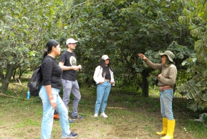 Quito: Nayón Village Tour with Farm Visit
