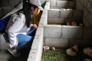 Quito: Nayón Village Tour with Farm Visit