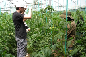 Quito: Nayón Village Tour with Farm Visit