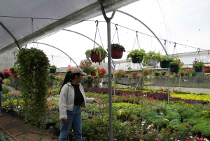 Quito: Nayón Village Tour with Farm Visit