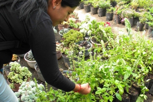 Quito: Nayón Village Tour with Farm Visit