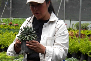 Quito: Nayón Village Tour with Farm Visit