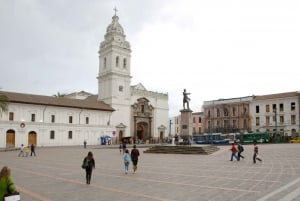 Quito: Tour a piedi della Città Vecchia con visita alla Basilica di Quito
