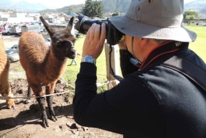 Quito: Otavalo Sightseeing och dagstur till hantverksmarknaden