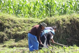 Quito: Otavalo Sightseeing och dagstur till hantverksmarknaden