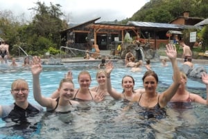 Quito: Papallacta Hot Springs and Hummingbirds' Farm Tour