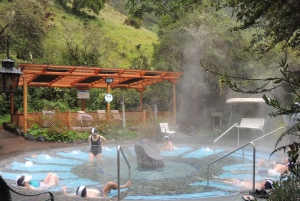 Quito: Papallacta Hot Springs and Hummingbirds' Farm Tour