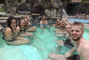 Quito: Papallacta Hot Springs and Hummingbirds' Farm Tour