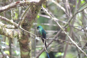 Quito: Papallacta Hot Springs and Hummingbirds' Farm Tour