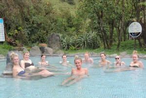 Quito: Papallacta Hot Springs and Hummingbirds' Farm Tour