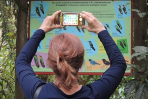 Quito: Papallacta Hot Springs and Hummingbirds' Farm Tour