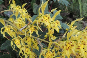 Quito: Papallacta Hot Springs and Hummingbirds' Farm Tour