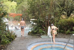 Quito: Papallacta Hot Springs and Hummingbirds' Farm Tour