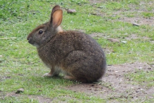 Quito: Papallacta Hot Springs and Hummingbirds' Farm Tour