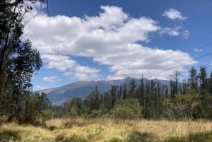 Quito: privé-fietstocht door het Metropolitan Park
