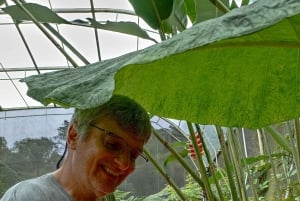 Quito: Excursão privada de dia inteiro com destinos flexÃveis