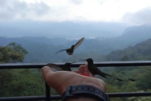 Quito: Excursão privada de dia inteiro com destinos flexÃveis